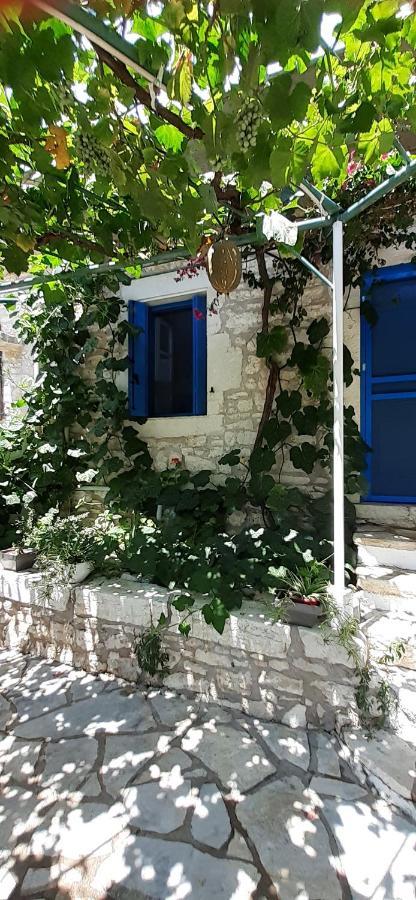 Apartament Petrinο Katochori Katokhórion Zewnętrze zdjęcie